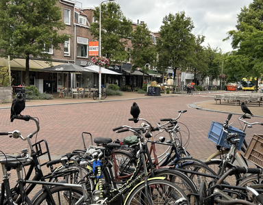 913005 Afbeelding van enkele kauwtjes op fietssturen aan de Adriaen van Ostadelaan te Utrecht.